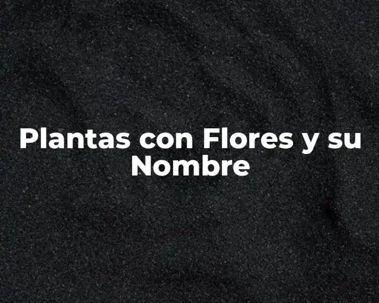 Plantas con Flores y su Nombre