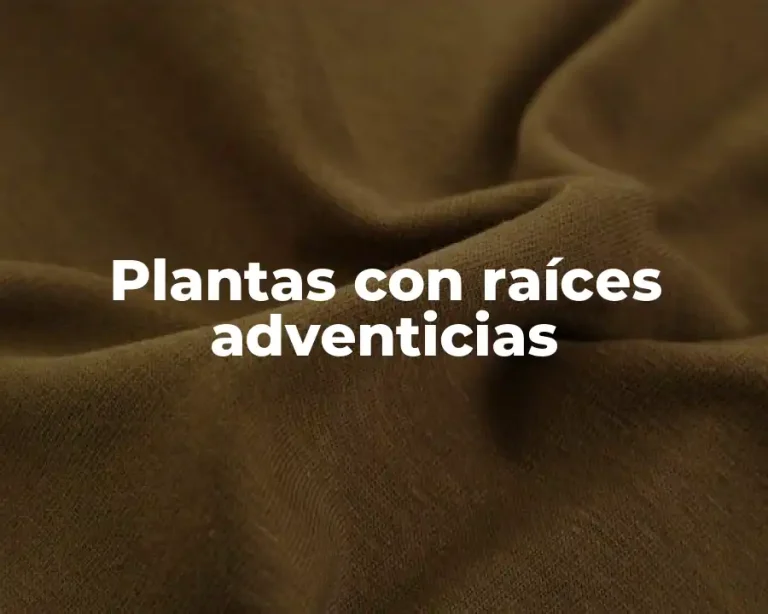 Plantas con raíces adventicias