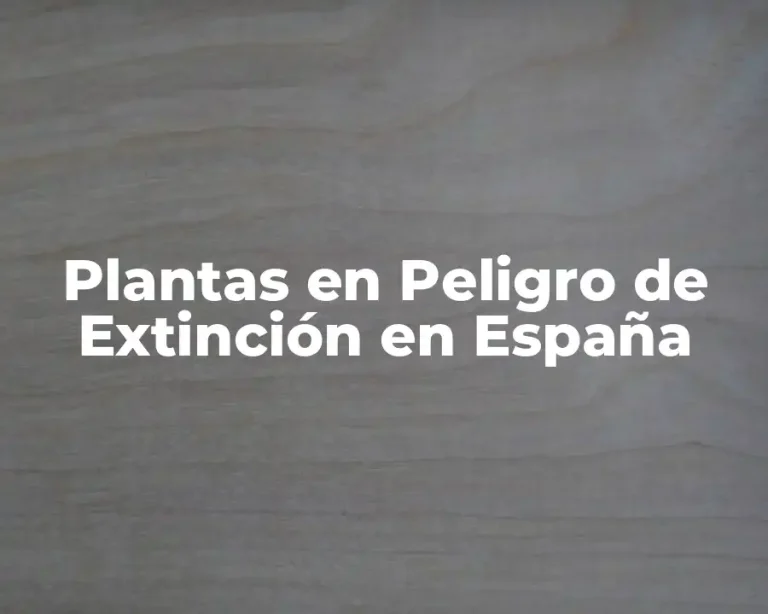 Plantas en Peligro de Extinción en España