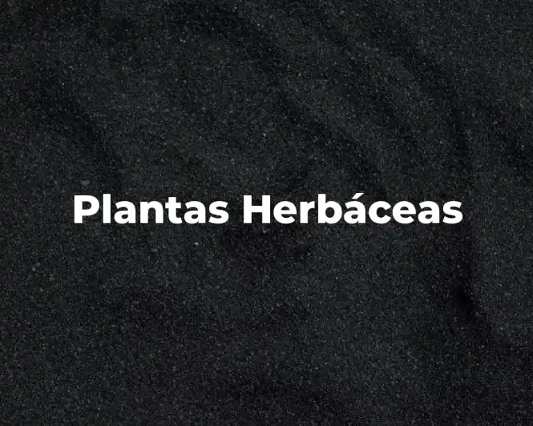 Plantas Herbáceas