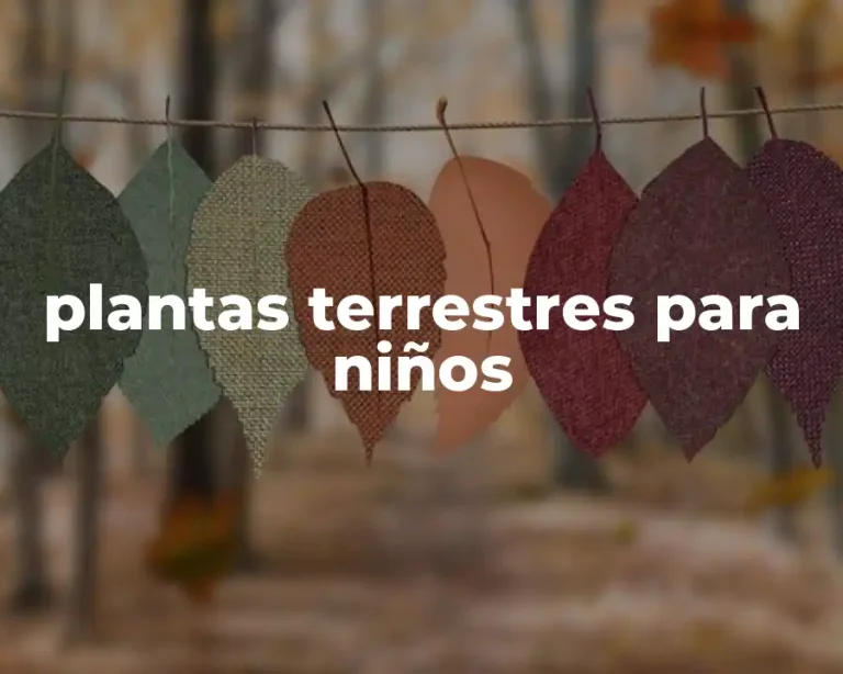 plantas terrestres para niños