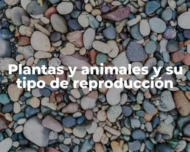Plantas y animales y su tipo de reproducción