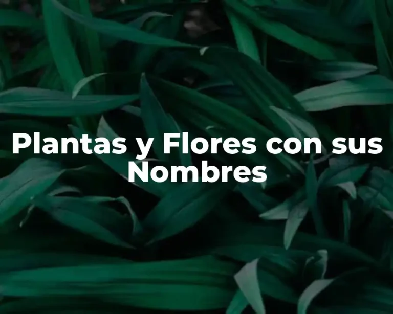 Plantas y Flores con sus Nombres