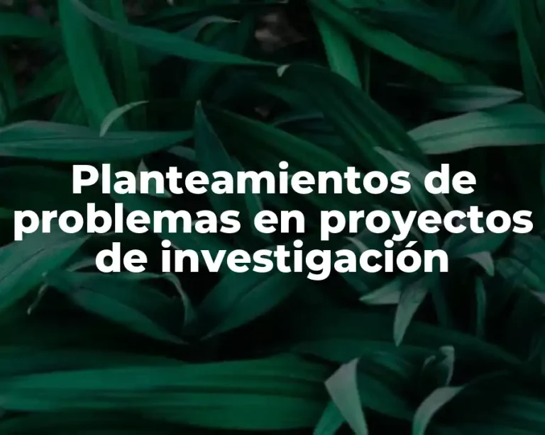 Planteamientos de problemas en proyectos de investigación