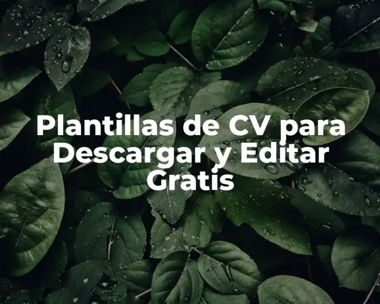 Plantillas de CV para Descargar y Editar Gratis
