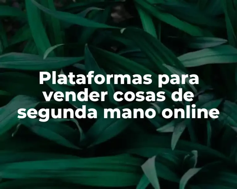 Plataformas para vender cosas de segunda mano online