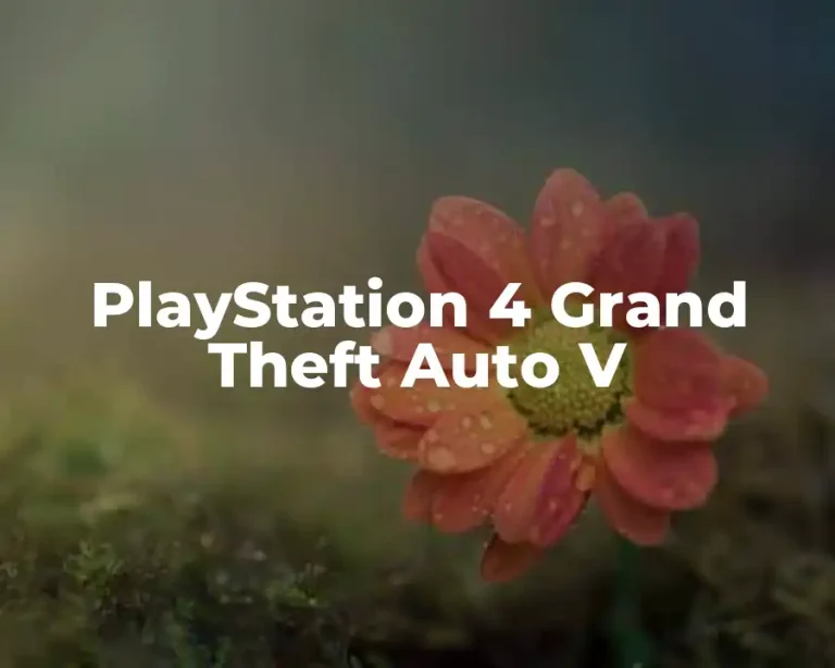 PlayStation 4 Grand Theft Auto V