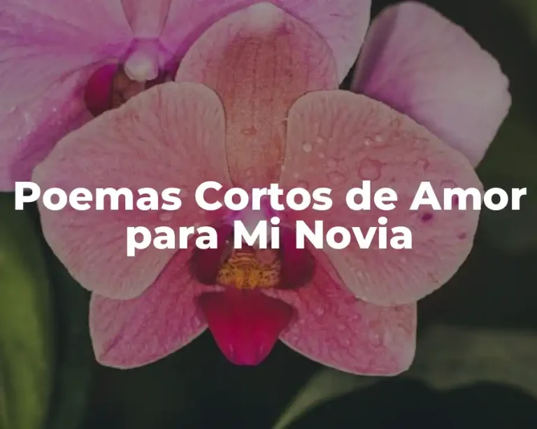 Poemas Cortos de Amor para Mi Novia