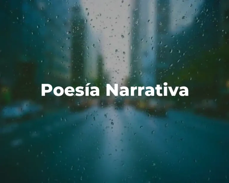 Poesía Narrativa