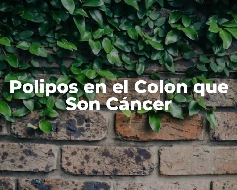 Polipos en el Colon que Son Cáncer
