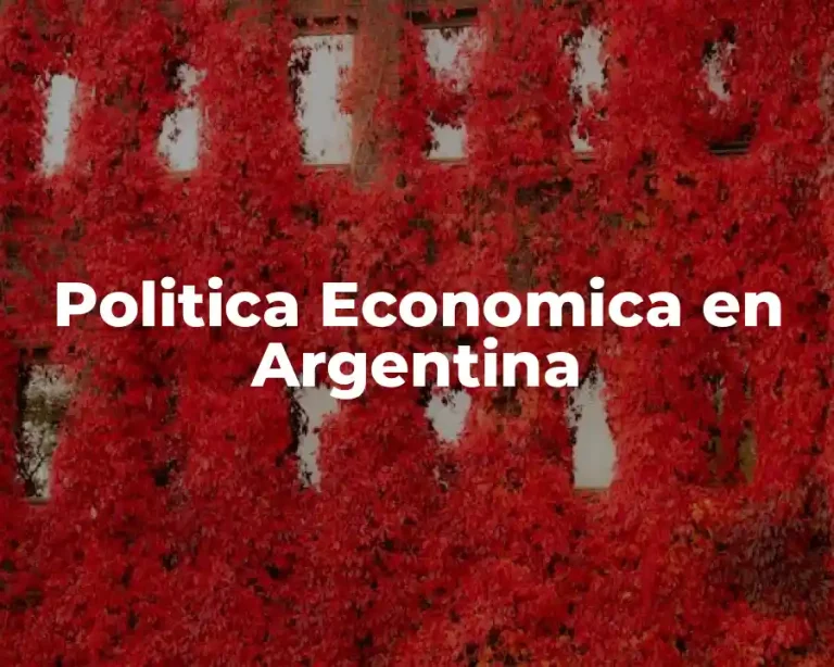 Politica Economica en Argentina