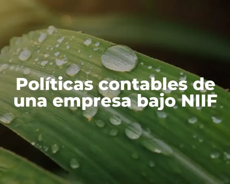 Políticas contables de una empresa bajo NIIF