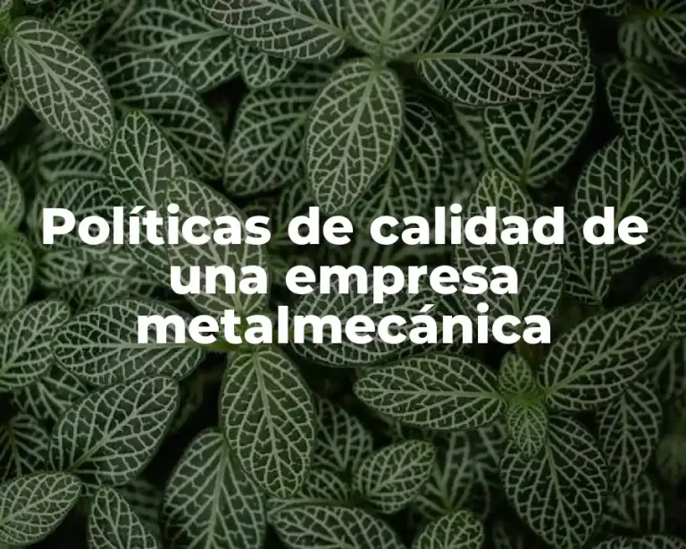 Políticas de calidad de una empresa metalmecánica