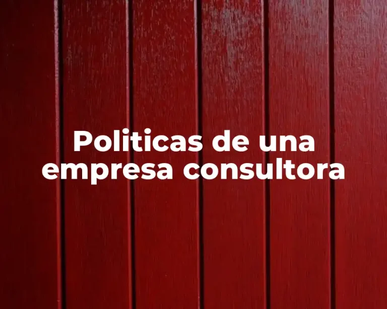 Politicas de una empresa consultora