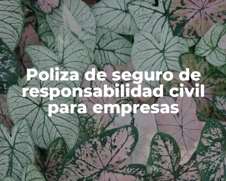 Poliza de seguro de responsabilidad civil para empresas