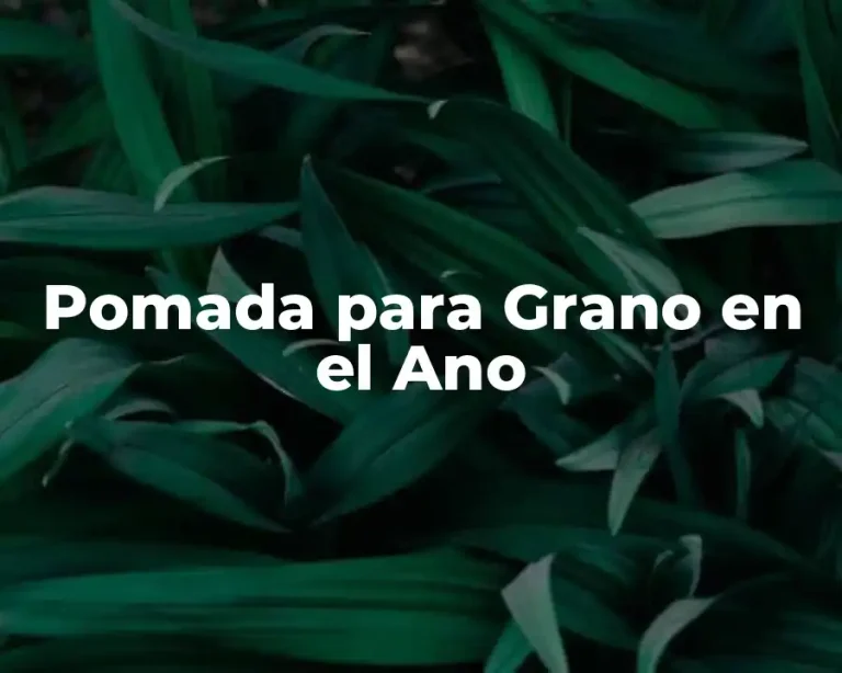 Pomada para Grano en el Ano