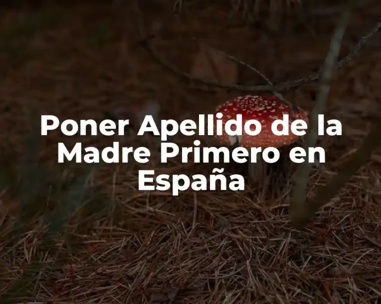 Poner Apellido de la Madre Primero en España