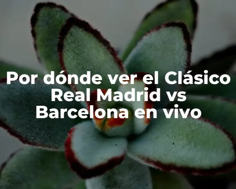 Por dónde ver el Clásico Real Madrid vs Barcelona en vivo