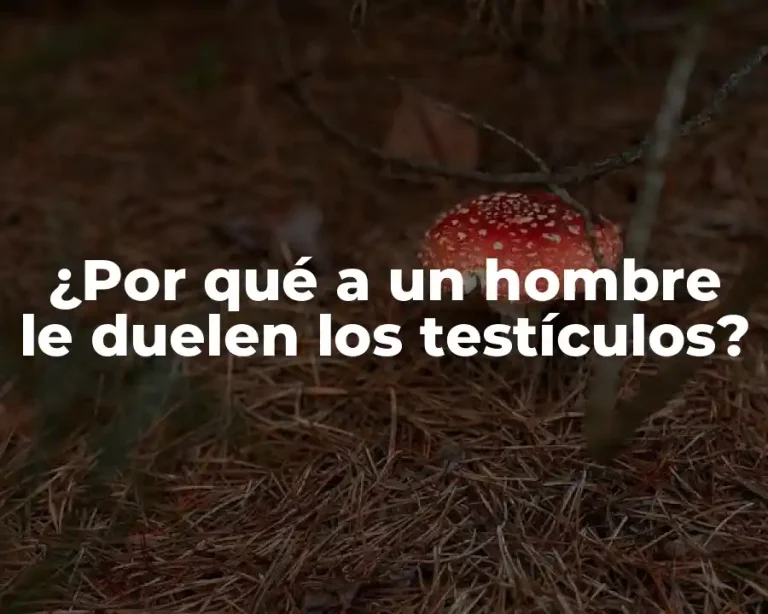 ¿Por qué a un hombre le duelen los testículos?