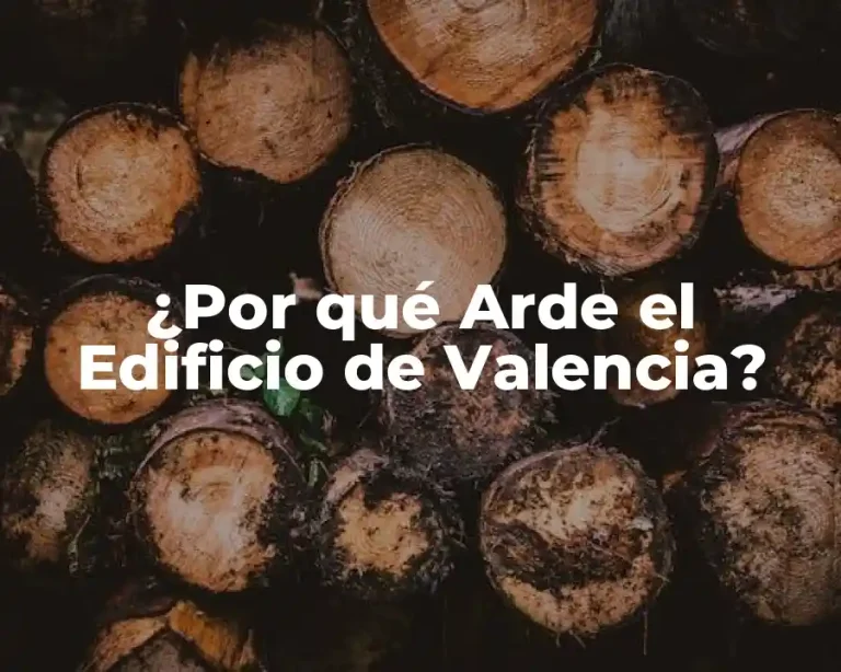 ¿Por qué Arde el Edificio de Valencia?