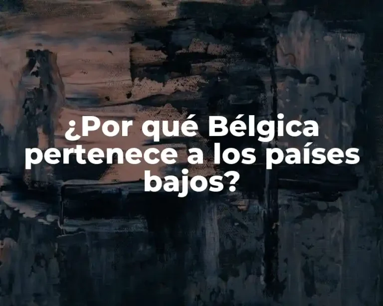 ¿Por qué Bélgica pertenece a los países bajos?