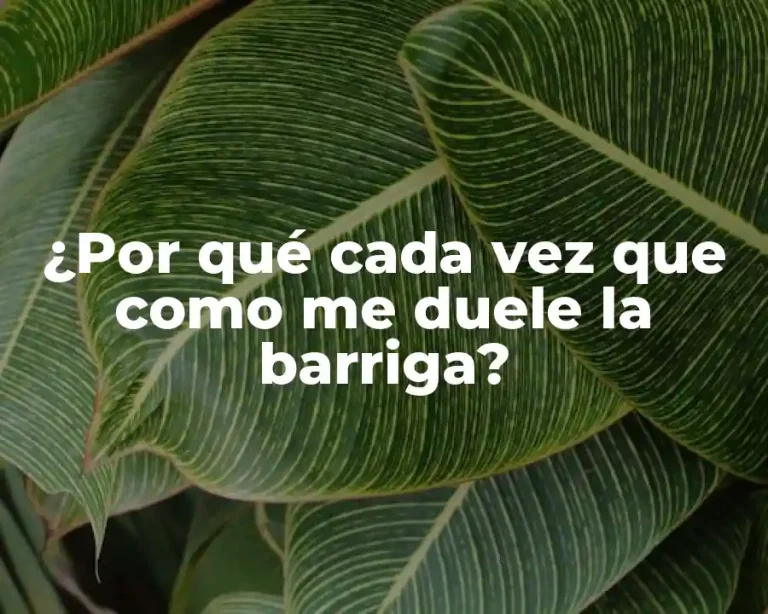¿Por qué cada vez que como me duele la barriga?