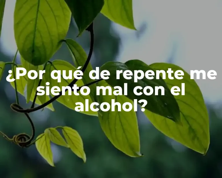 ¿Por qué de repente me siento mal con el alcohol?