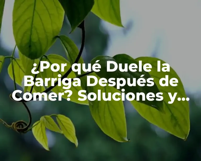 ¿Por qué Duele la Barriga Después de Comer? Soluciones y Causas