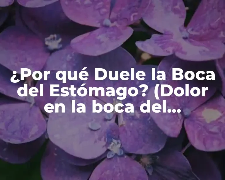 ¿Por qué Duele la Boca del Estómago? (Dolor en la boca del estómago)
