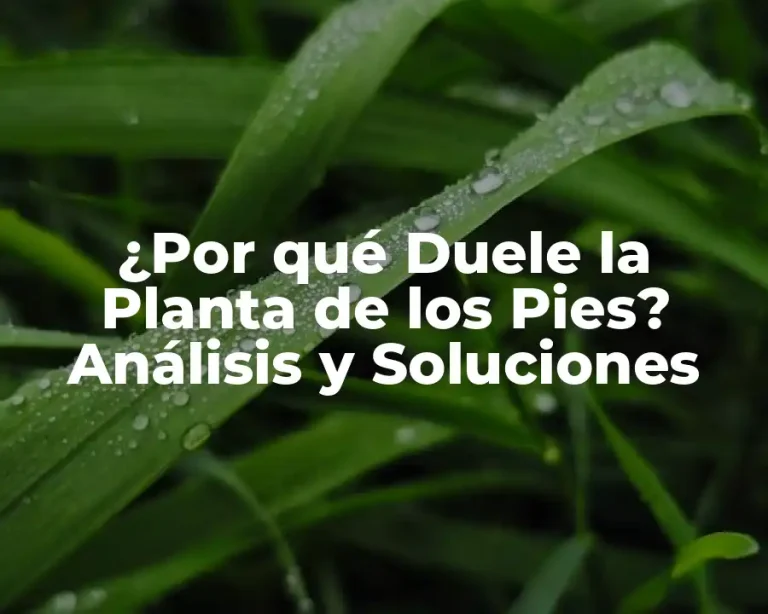 ¿Por qué Duele la Planta de los Pies? Análisis y Soluciones
