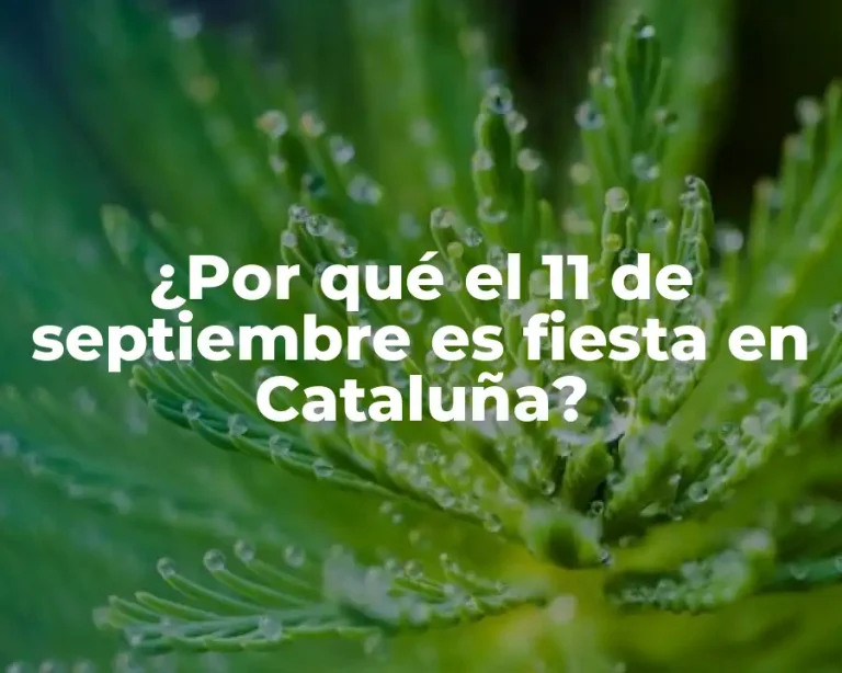 ¿Por qué el 11 de septiembre es fiesta en Cataluña?