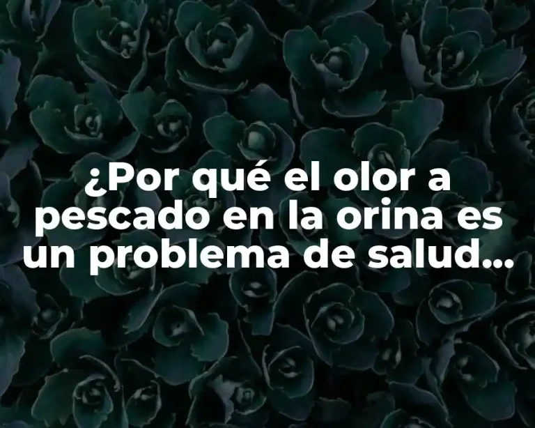 ¿Por qué el olor a pescado en la orina es un problema de salud que debes conocer?