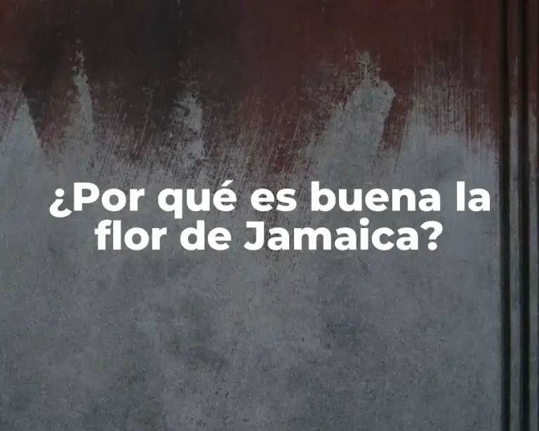 ¿Por qué es buena la flor de Jamaica?