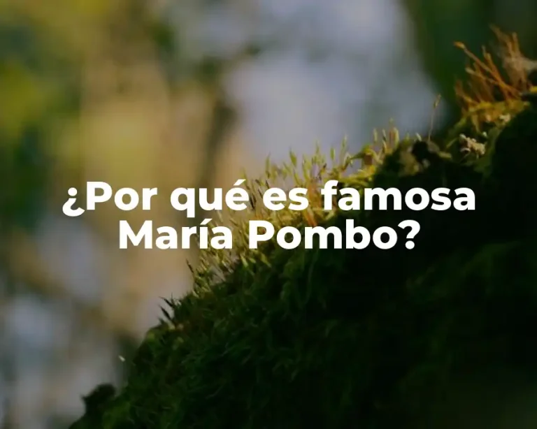 ¿Por qué es famosa María Pombo?