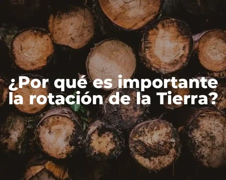 ¿Por qué es importante la rotación de la Tierra?