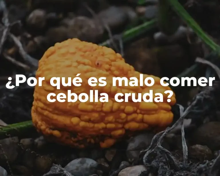 ¿Por qué es malo comer cebolla cruda?