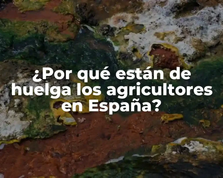 ¿Por qué están de huelga los agricultores en España?