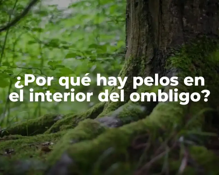 ¿Por qué hay pelos en el interior del ombligo?