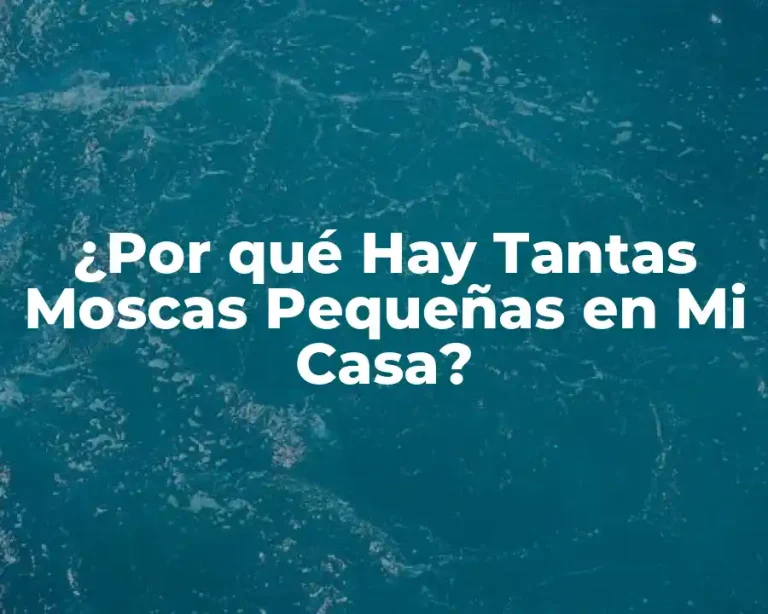 ¿Por qué Hay Tantas Moscas Pequeñas en Mi Casa?