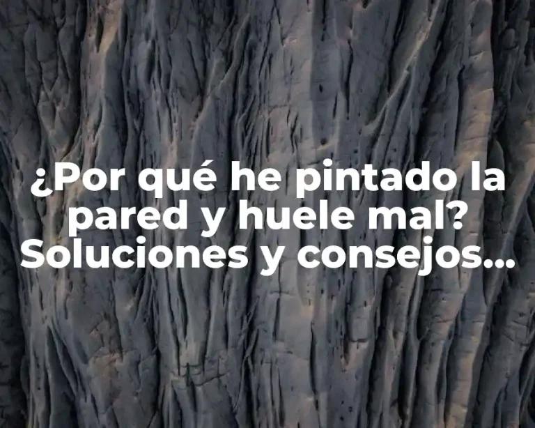 ¿Por qué he pintado la pared y huele mal? Soluciones y consejos prácticos