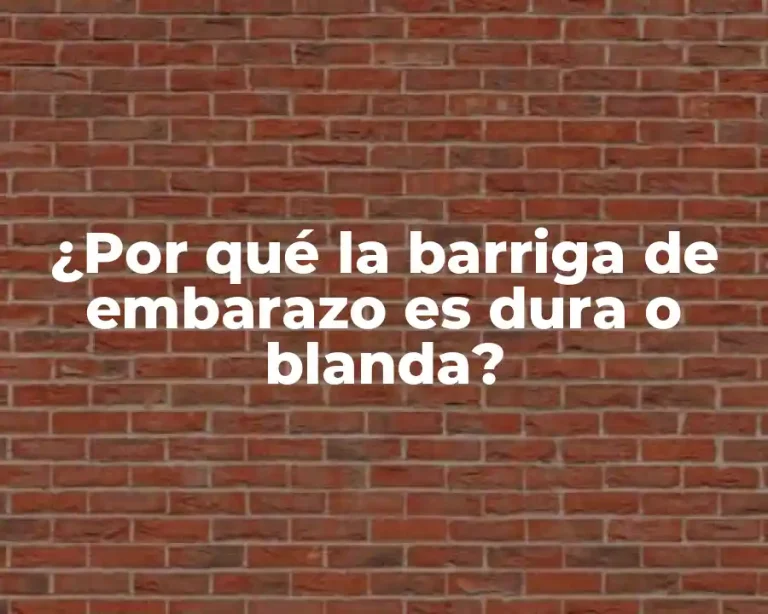 ¿Por qué la barriga de embarazo es dura o blanda?