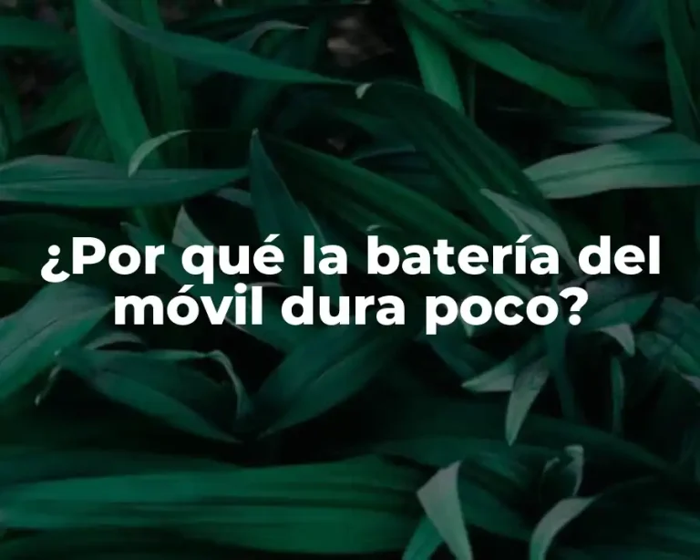 ¿Por qué la batería del móvil dura poco?