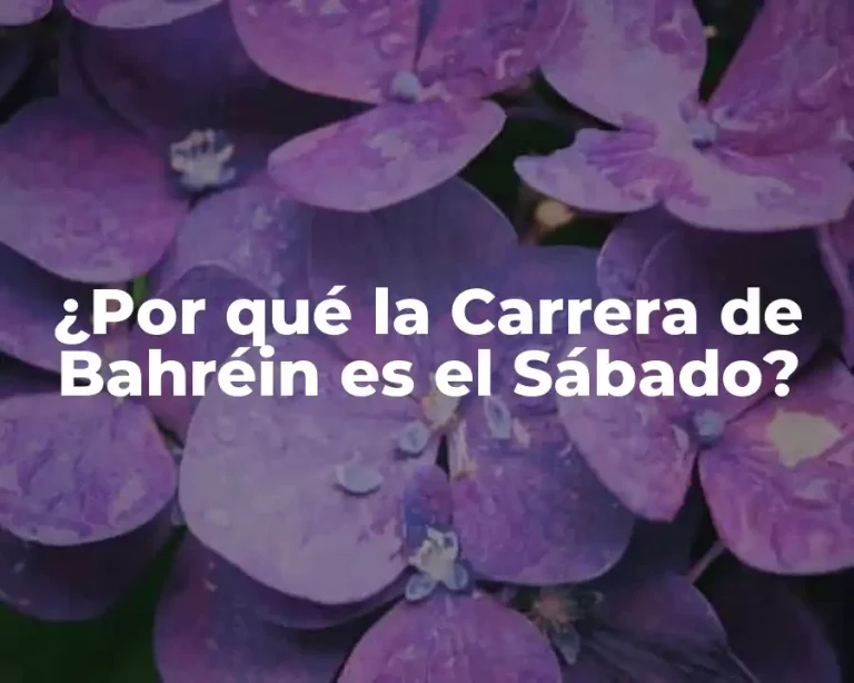 ¿Por qué la Carrera de Bahréin es el Sábado?