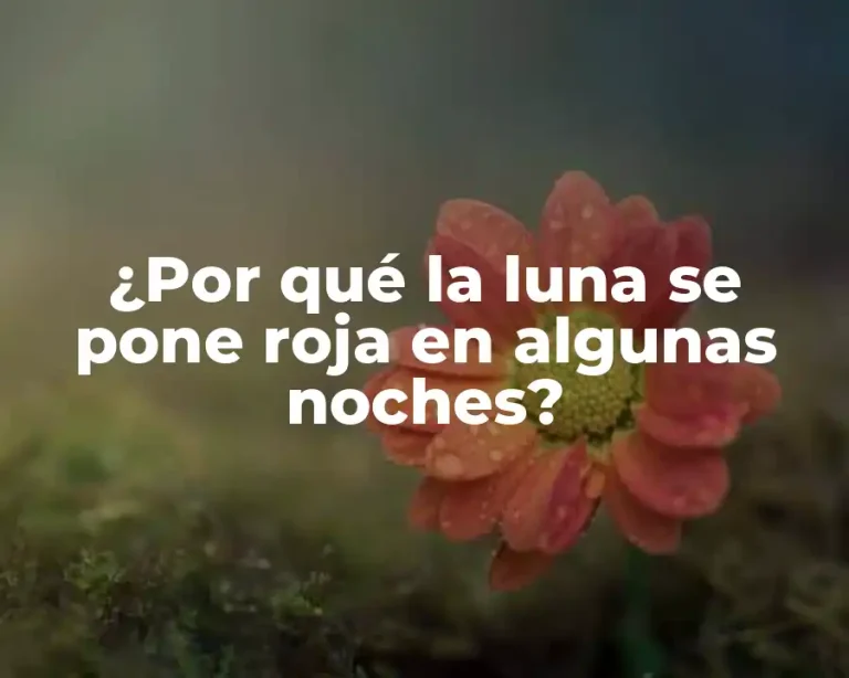 ¿Por qué la luna se pone roja en algunas noches?