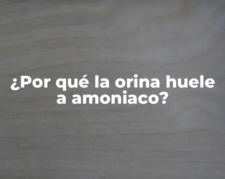 ¿Por qué la orina huele a amoniaco?
