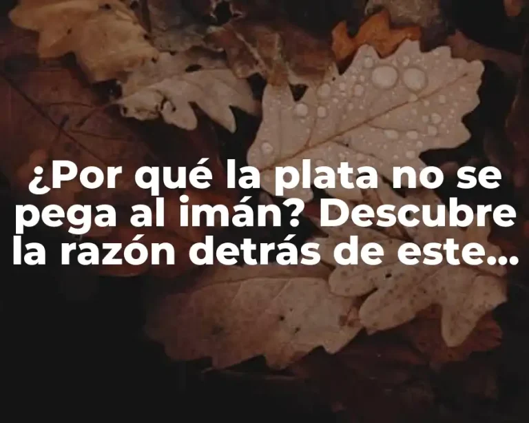 ¿Por qué la plata no se pega al imán? Descubre la razón detrás de este fenómeno