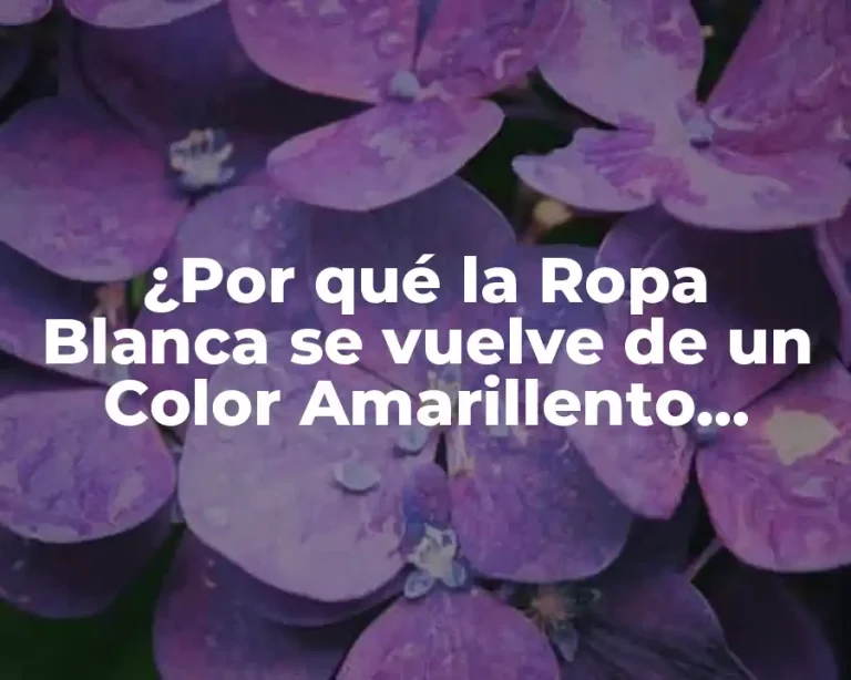 ¿Por qué la Ropa Blanca se vuelve de un Color Amarillento después de Lavarse?