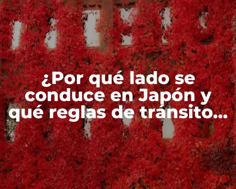 ¿Por qué lado se conduce en Japón y qué reglas de tránsito debes conocer antes de visitar?
