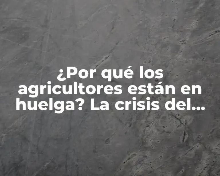 ¿Por qué los agricultores están en huelga? La crisis del sector agrícola en España