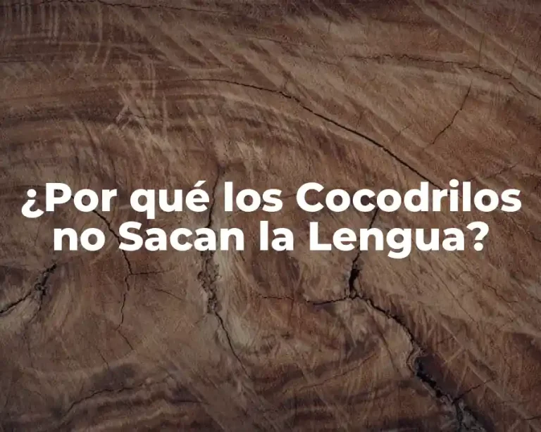 ¿Por qué los Cocodrilos no Sacan la Lengua?